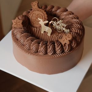 Chocolate Dream Forest Cake - Christmas Edition